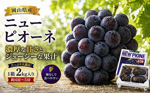 
                  岡山県産 ニューピオーネ 約2kg/４房～5房   家庭用  /  岡山県 はれおう 人気 葡萄 2026予約 ぶどう 果物 特選 フルーツ ぶどう 先行予約  2kg 特選  2.0 2キロ 2房 3房 4房  2026年9月～10月 受付順に発送予定
                