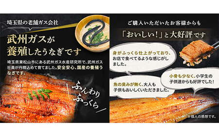 うなぎ 国産 3尾 お手頃サイズ 約300g | うなぎ 国産