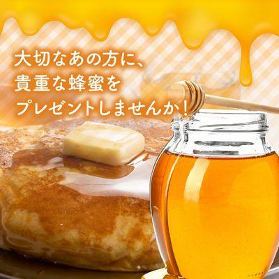 ふるさと納税 南九州市 国産レンゲ蜂蜜600g |  | 01