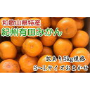 【ふるさと納税】【訳ありご家庭用】和歌山有田みかん5kg（S～Lサイズいずれかお届け）★2024年11月中旬頃より順次発送