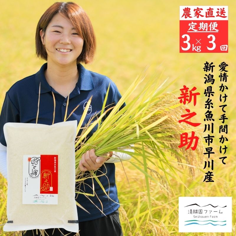 【ふるさと納税】 令和7年産 『新之助』【3ヶ月定期便】 3kg ×3回 毎月お届け (計9kg) 農家直送 真空パック 新潟県産 新潟 糸魚川 清耕園ファーム 美味しい 農家自慢 お米 白米 おにぎり お弁当 大粒 ツヤ 甘み 深い味わい 粘り 弾力 米