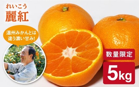 先行予約 麗紅 5kg みかん 原口果樹園 CCW003 みかん