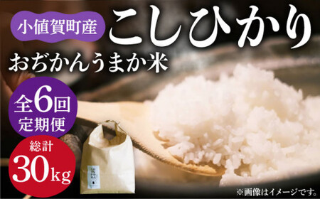 【全6回定期便】【令和6年度産】おぢかんうまか米（小値賀町産こしひかり 約5kg ・精白米）総計30kg  [DAB016] コシヒカリ こしひかり 米 お米 白米 ご飯 精米 お弁当  常温 [DAB016]