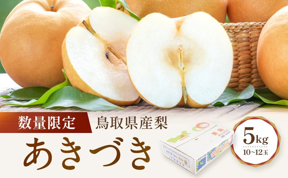 
                  数量限定 鳥取県産梨 あきづき 5kg（10～12玉） 国産 あきづき 梨 国産あきづき 国産梨 梨先行予約 梨5kg あきづき5kg 鳥取県産あきづき 鳥取県産梨 新鮮 旬 フルーツ 果物 くだもの 人気 おすすめ 鳥取 琴浦町 送料無料
                