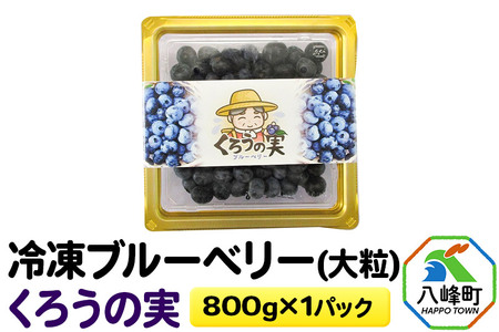 冷凍ブルーベリー(大粒)「くろうの実」 800g×1パック