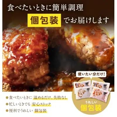 Z61-32R09 【7営業日以内発送】 Best4バーグ 20個セット 4種 ハンバーグ