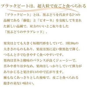【先行受付】岡山県産　ブラックビート 1.5kg(3房～6房)【配送不可地域：離島・北海道・沖縄県】【1400520】