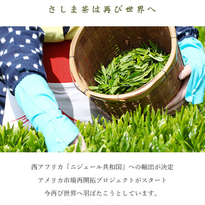 さしま茶ペットボトル１ケース（350ml 24本入り） _CD01