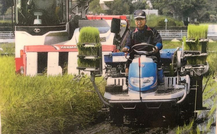 【3回定期便】 農薬節減！ 白鷺米 コシヒカリ 約2kg / 高知 米 お米 精米 　【津ノ宮農園】 [ATBV010]