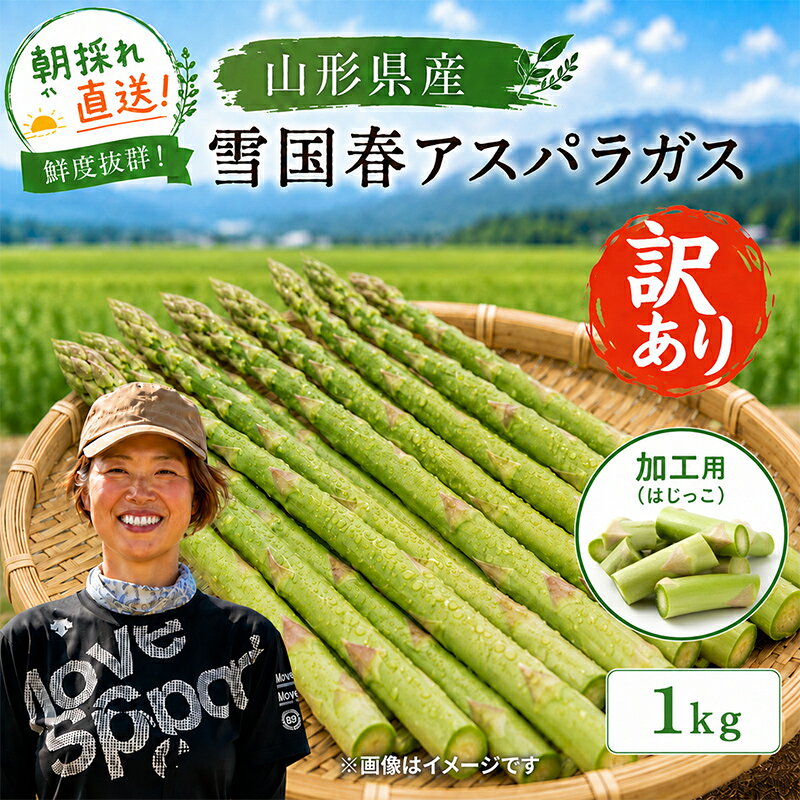 【ふるさと納税】 【令和9年産先行予約】 訳あり 雪国春アスパラガス 約1kg (はじっこ 加工用) 《令和9年5月中旬～発送》 『情野農園』 グリーン 山形南陽産 農家直送 山形県 南陽市 [2735]