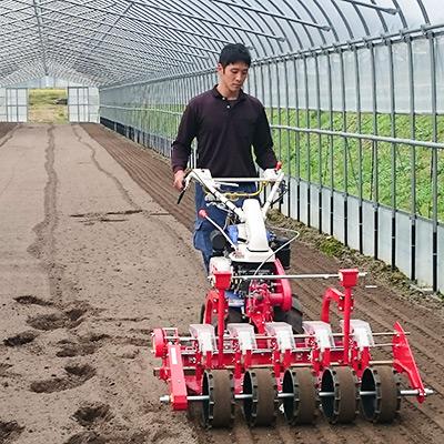 ふるさと納税 安芸太田町 新鮮朝採れ!安芸太田町産ほうれんそう　200g×7束 |  | 03