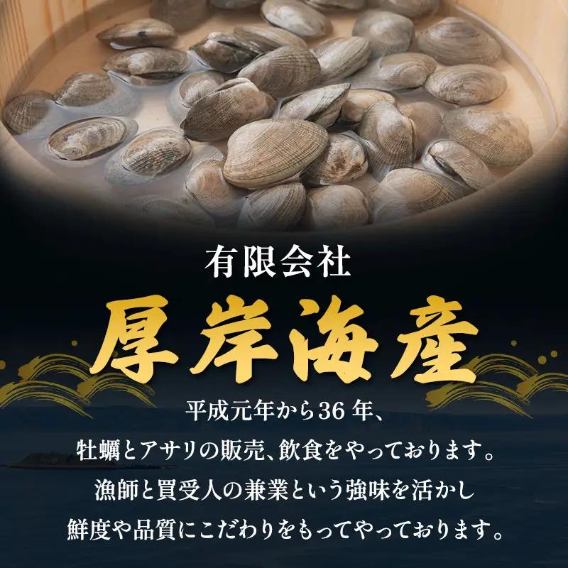 訳あり 活あさり 500g×2 (合計1kg) 砂出し済み 冷蔵 あさり