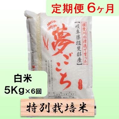 ふるさと納税 池田町 【毎月定期便】6ヶ月【令和8年産】特別栽培米5kg【白米】(夢ごこち)全6回