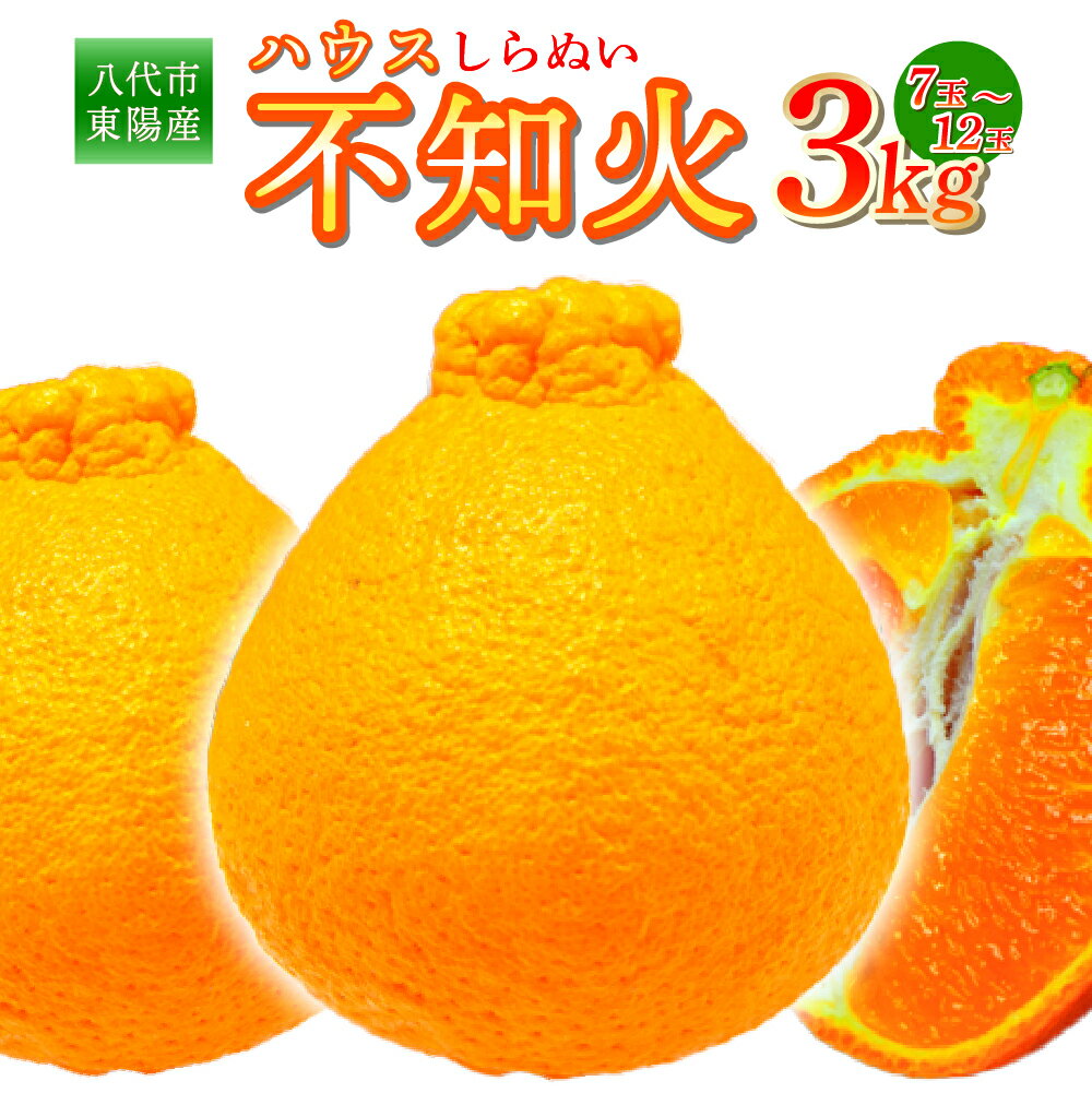 【ふるさと納税】【先行予約】 八代市東陽産 ハウス不知火 3kg(7玉～12玉) 不知火 しらぬい 蜜柑 ミカン 柑橘 フルーツ 果物 旬 九州産 熊本県産 送料無料 【2026年1月下旬より順次発送】