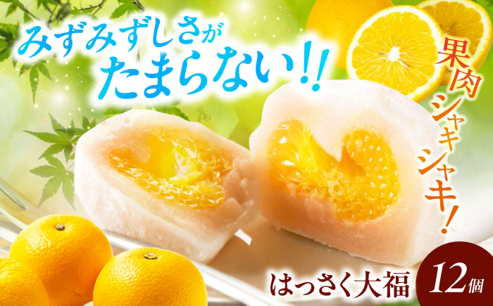 【お中元対象】お菓子 はっさく大福12個入 お菓子 大福 八朔 柑橘 みかん オレンジ 餅 ギフト お取り寄せ スイーツ フルーツ大福 ご当地 菓子 おかし デザート 食品 人気 おすすめ 広島県福山市/株式会社虎屋本舗 [BADH012]