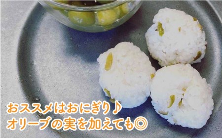 【3回定期便】オリーブ塩＆オリーブレモン塩 セット（各2個）計12個/ オリーブ 塩 ソルト salt lemon olive 調味料 レモン 檸檬 長崎 ＜ゆきのヶ丘オリーブ園＞ [EAV015] 