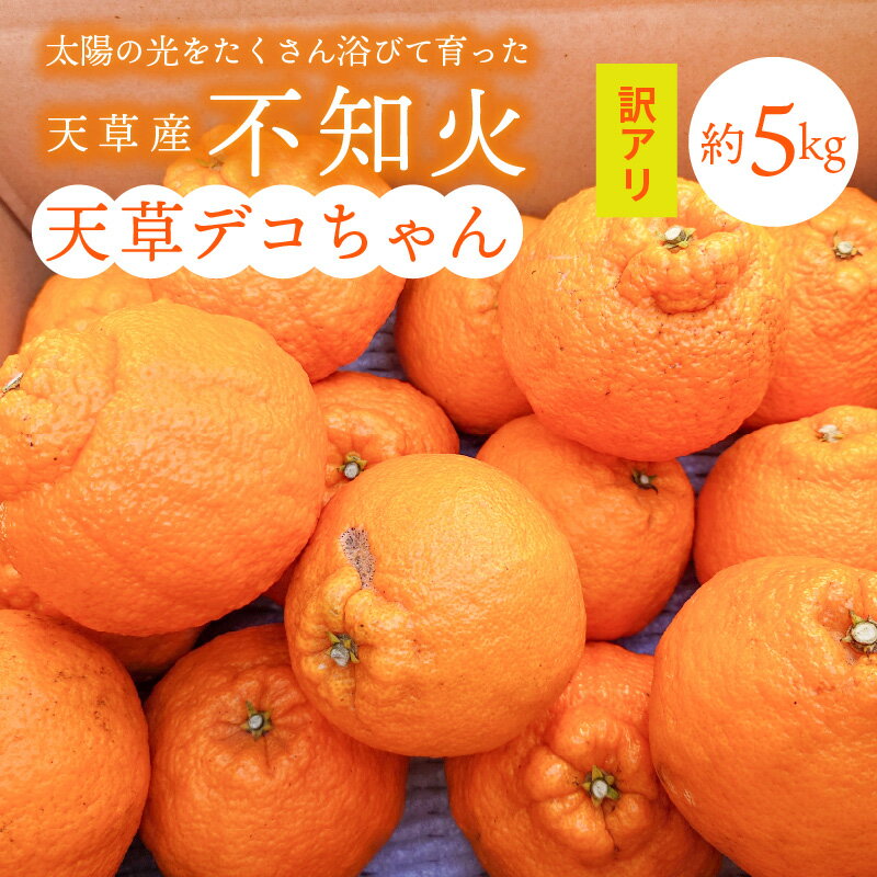 【ふるさと納税】【訳あり】不知火 約 5kg 家庭用 サイズ 5L ～ M 混合品 箱 天草産 追熟 糖酸 バランス 天草デコちゃん 柑橘 旬 果物 果実 フルーツ 果樹園 しばた農園 デザート スイーツ 食品 国産 お取り寄せ お取り寄せフルーツ 常温配送 熊本県 天草市 送料無料
