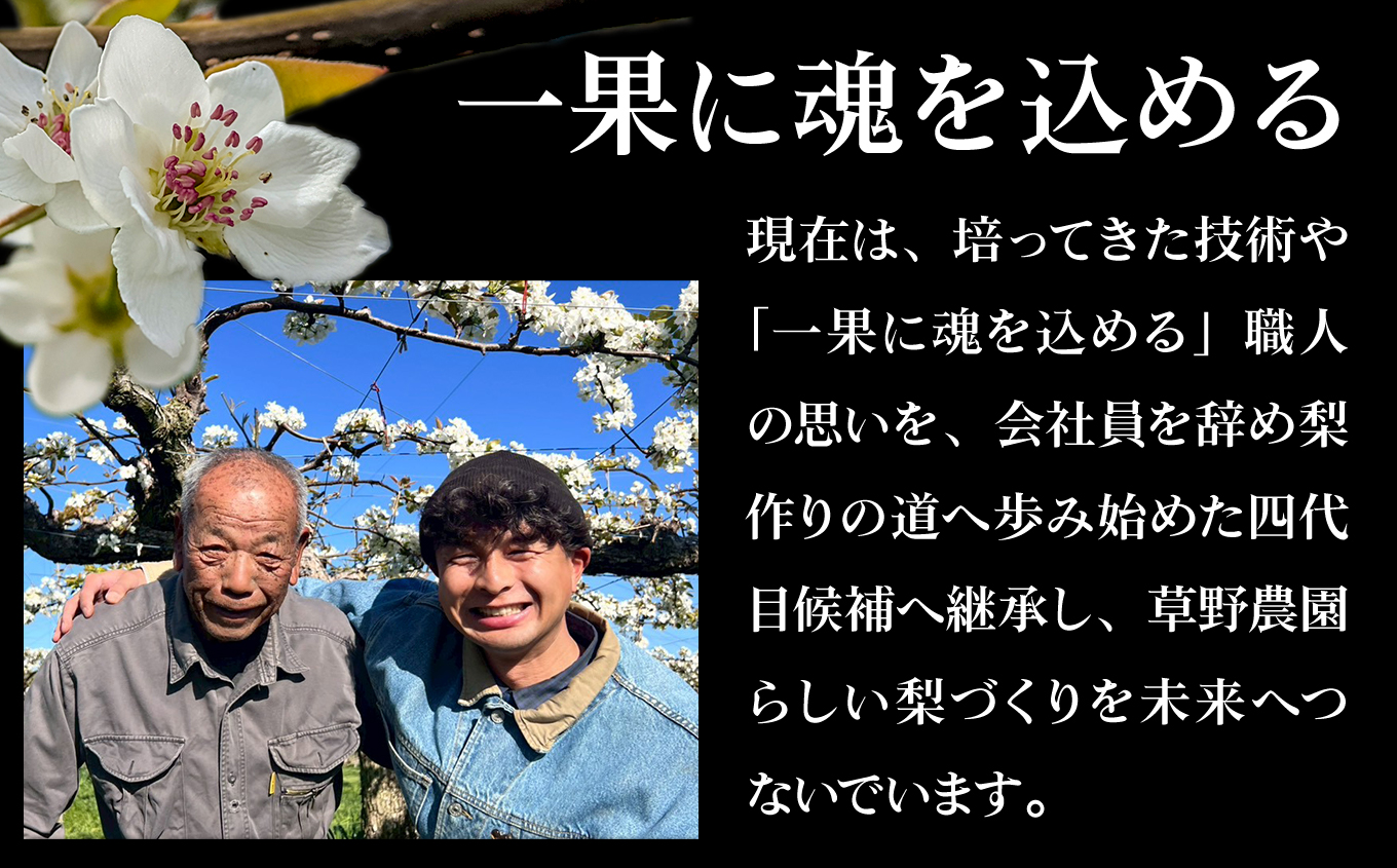 【先行予約】福島県いわき市産 梨(豊水) 約3kg | 梨 豊水 いわき市産 草野農園 約3kg 先行予約 期間限定 果物 フルーツ 和梨 国産 新鮮 産地直送 甘い 濃厚果汁 ジューシー 瑞々しい 
