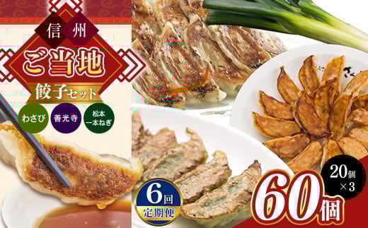 【定期便6回】信州ご当地餃子セット 20個入り×3種 | 餃子 ギョーザ ご当地 セット 国産 長野県 松本市 信州産 ふるさと納税