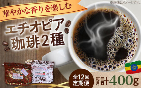 【全12回】エチオピアコーヒー2種 豆or粉 コーヒー[XBE056]