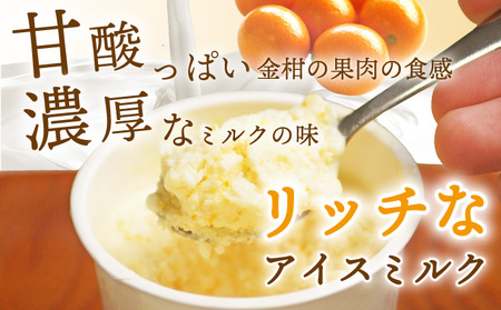 AQ-A1 串間市産きんかんたまたま使用！たまリッチアイス詰合せ(9個)【たまたまクラブ】