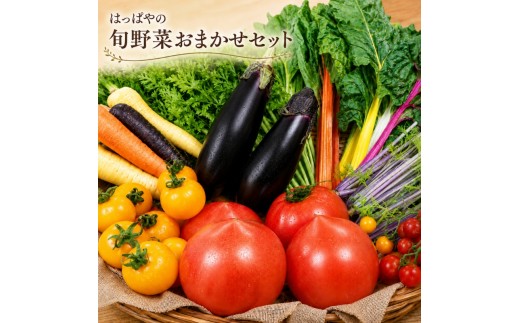 
はっぱやの旬野菜おまかせセット
