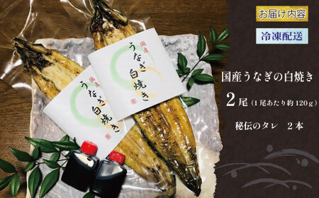 国産うなぎ 鰻 白焼き うなぎ