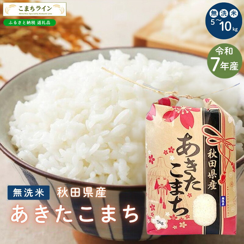 【ふるさと納税】令和7年産 あきたこまち 無洗米 5kg 10kg 秋田県産 米 一等米 ブランド米 5キロ 10キロ 精米 精米したて 一人暮らし 秋田 能代 能代市 送料無料 《こまちライン》