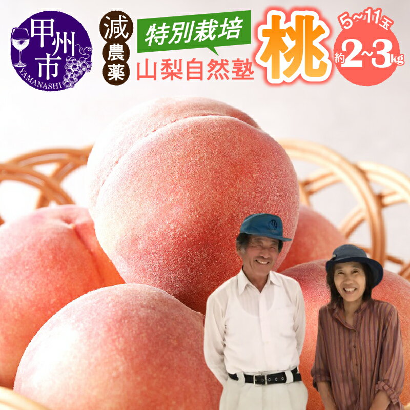【ふるさと納税】 桃 選べる内容量 約2kg〜約3kg 5〜11玉 果物 フルーツ もも 果実 2026年発送 白鳳系 白桃系 特別栽培 モモ 新鮮 産地直送 期間限定 数量限定 6月 7月 8月 発送 贈答 家庭用 ギフト 自然塾 山梨 甲州市 （YSGK）