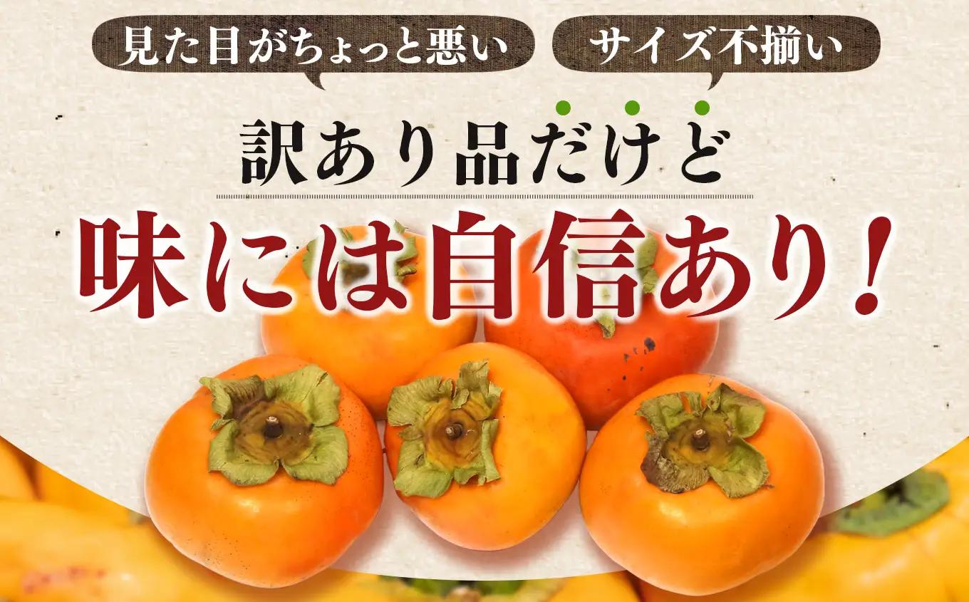  【 先行予約 】 ★ 4.8 獲得 訳あり 富有柿 約 7kg ご自宅用 （ 約22個 ～ 30個 入り）| 西岡農園