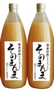 無添加！100%そのまんまりんごジュース　2本入り