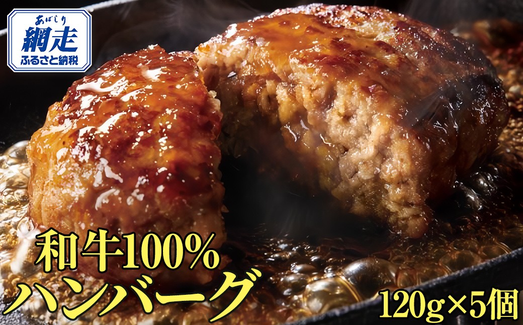 
                  ＜網走産＞【オホーツクあばしり和牛】ハンバーグ・総重量 600g（120g×5個） 【 ふるさと納税 人気 おすすめ ランキング 牛ハンバーグ オホーツクあばしり和牛 和牛100% 北海道 網走市 送料無料 】 ABW016
                