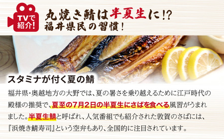 [007-a003] 【越前若狭名物】丸ごと浜焼きさば 2本入り 肉厚食べ応え抜群！＜数量限定＞【魚介類 鯖 焼き鯖 さば おつまみ 酒の肴】