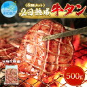 【ふるさと納税】牛タン 熟成 厚切 牛たん 塩味 500g 冷凍 焼肉 バーベキュー 熟成牛たん 宮城県 東松島市 佐利 A