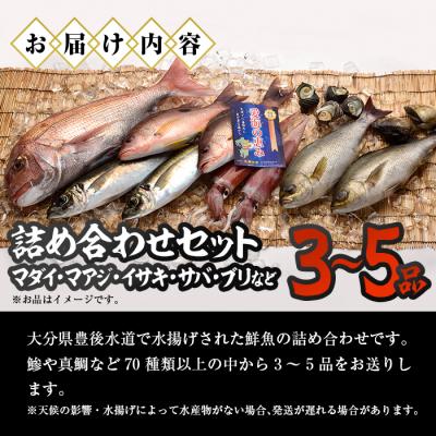 ふるさと納税 佐伯市 天然 鮮魚詰め合わせ (合計約2.8-3.2kg・3種以上) |  | 01