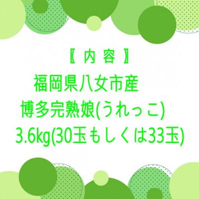 ふるさと納税 八女市 先行受付【博多完熟娘(うれっこ)キウイ3.6kg】JAふくおか八女より産地直送※12月より順次発送 |  | 02