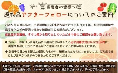 極早生みかん 約4.5kg みかん 産直 サイズ混合 みかん 早生みかん 果物 くだもの フルーツ 温州みかん 和歌山 柑橘 オレンジ【2025年10月上旬～下旬頃に順次発送】【mrmt002】