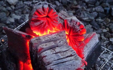 発送月指定OK！「山形村短角牛炭焼き用セット（冷蔵：肩ロースステーキ250g、手切りカルビ150g、焼肉用バラスライス200g、赤身スライス200g、谷地林業の木炭700g）」アウトドア 牛肉 牛 焼