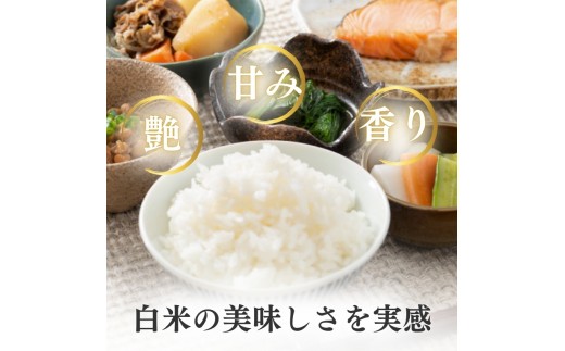 令和8年産 新潟県上越産こしひかり 精米 20kg 上越市 米 コメ コシヒカリ ファインリョーコク