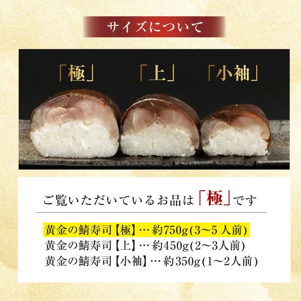 黄金の鯖寿司（極）[AOAV007]鯖寿司