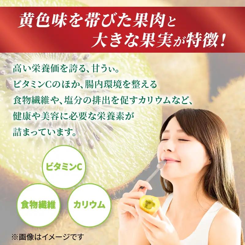 【先行受付：2026年11月頃発送開始】福岡限定品種キウイ「甘うぃ」約1.3～1.5kg <配送不可地域：北海道・沖縄・離島> 先行受付 キウイ キウイフルーツ フルーツ 果物 くだもの 甘い 高糖度
