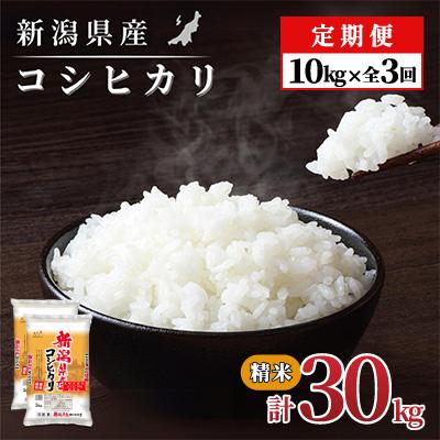 ふるさと納税 見附市 【毎月定期便】新潟県産 コシヒカリ(精米) 10kg(5kg×2袋)【計30kg】全3回