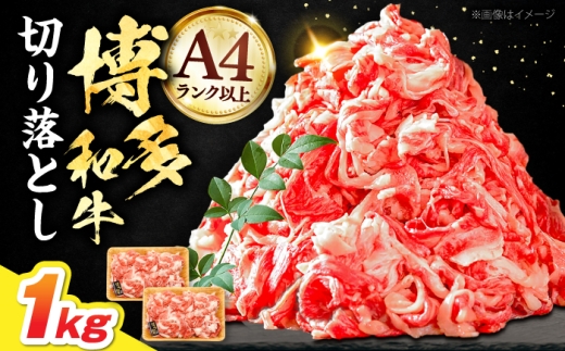 【A4以上】博多和牛 切り落とし 1kg（500g×2P）《豊前市》【MEAT PLUS】[VBB004] 牛肉 肉 小分け 切落し 切り落とし 切り落し 国産 福岡県産 黒毛和牛 A4 A5 和牛 牛丼 小分け 福岡県 きりおとし
