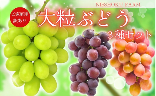 NISSHOKU FARM ご家庭用大粒ぶどう３種セット岡山　訳あり【NF-13-01】