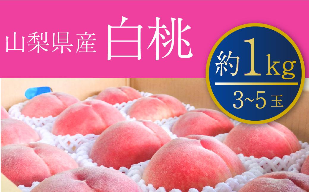 
【桃】約1kg 山梨県産の白桃をお届け！受継ぐ50年以上の目利き力！【2024年発送】（PJ）B-166
