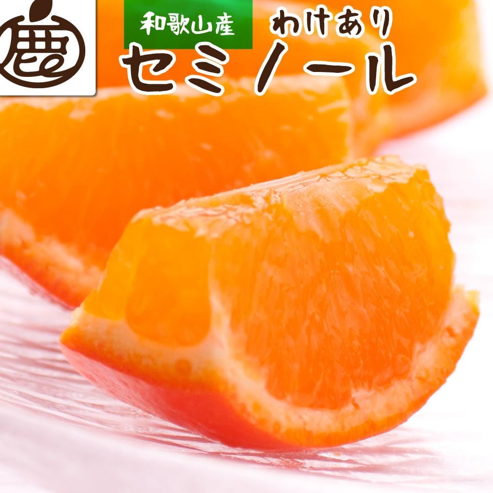 
            ＜4月より発送＞ 家庭用 セミノールオレンジ 4.5kg+135g（傷み補償分） 有田の春みかん 有田産 光センサー食べ頃出荷 訳あり わけあり ［IKE151］
          