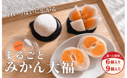
                  まるごとみかん大福 6個／9個入り
                