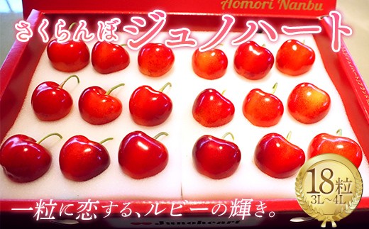 
                  最高級さくらんぼ 「ジュノハート 3L～4Lサイズ」 18粒 特選 化粧箱 【川守田観光さくらんぼ園】 超大粒 フルーツ王国 サクランボ チェリー 果物 フルーツ プレミアム 贈答 ギフト 産地直送 旬 青森県産 南部町産 F21U-691
                