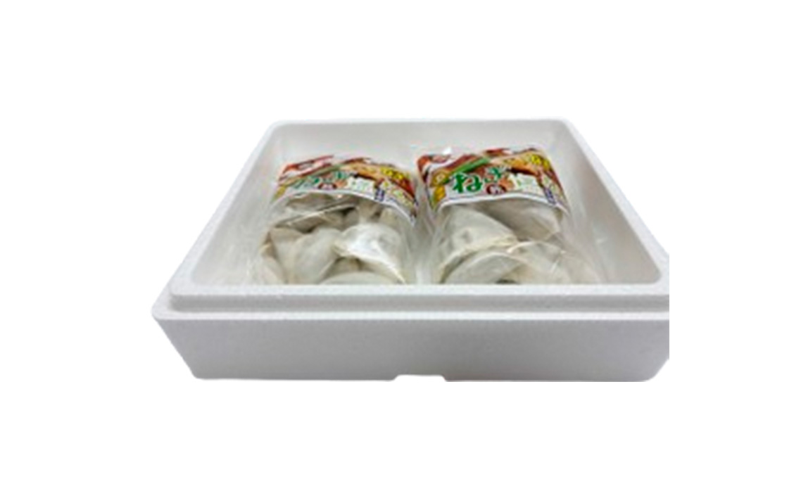 No.341 東金極楽ねぎ塩ぎょうざ2袋セット　20個入×2