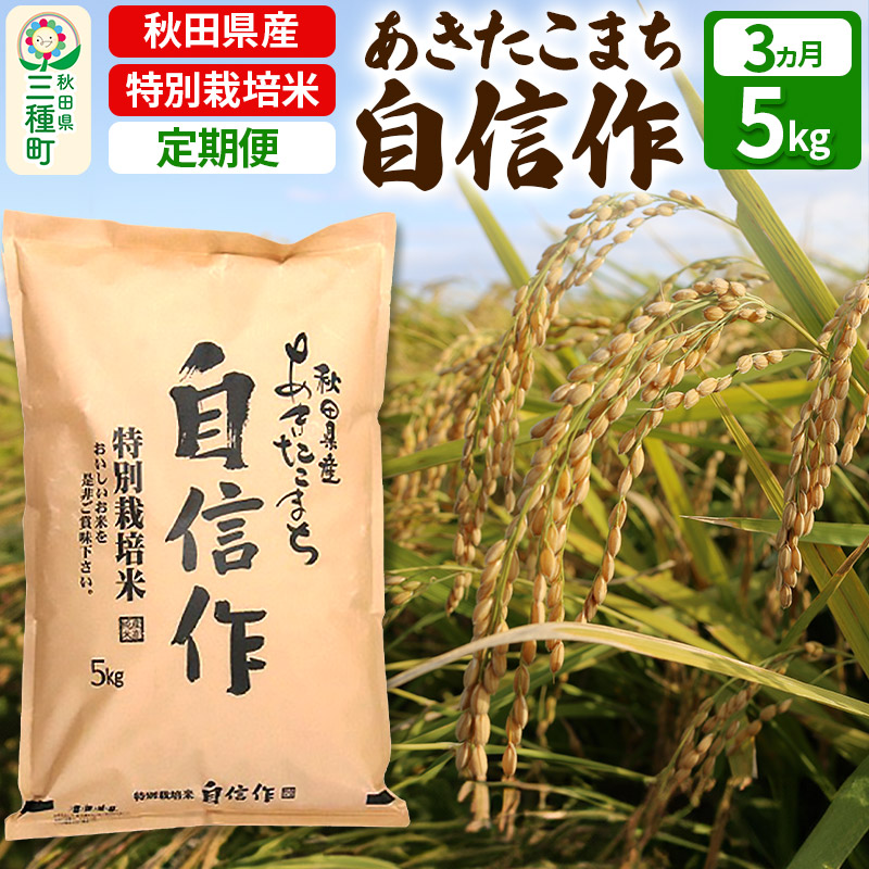 《定期便3ヶ月》 【白米】あきたこまち 自信作 5kg(5kg×1袋)×3回 令和6年産